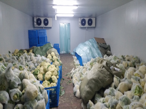 洛阳大型果蔬冷藏库